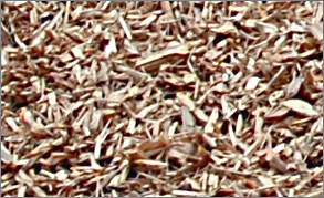 Wood from dismantled homes