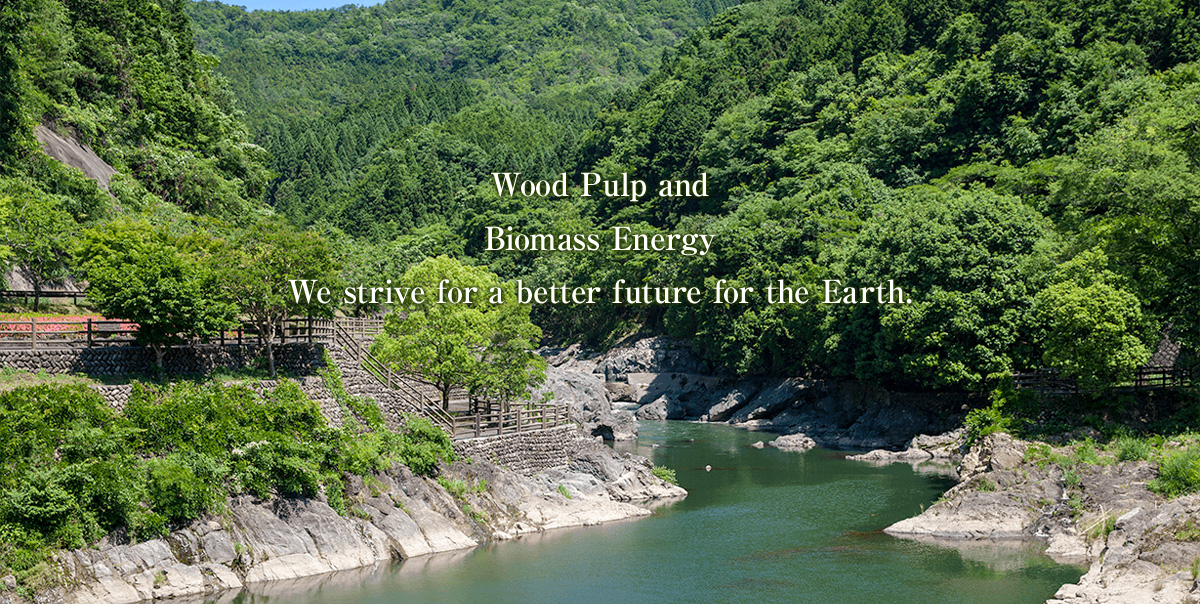 Wood Pulp and Biomass Energy We strive for a better future for the Earth.
